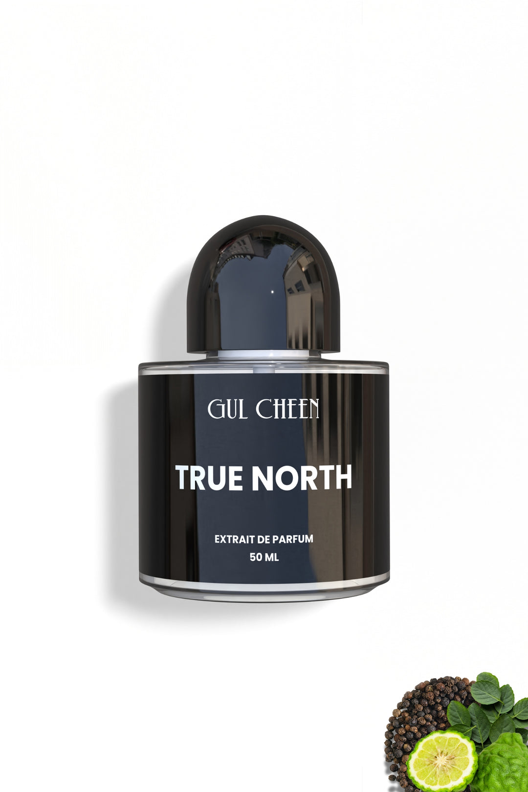True North